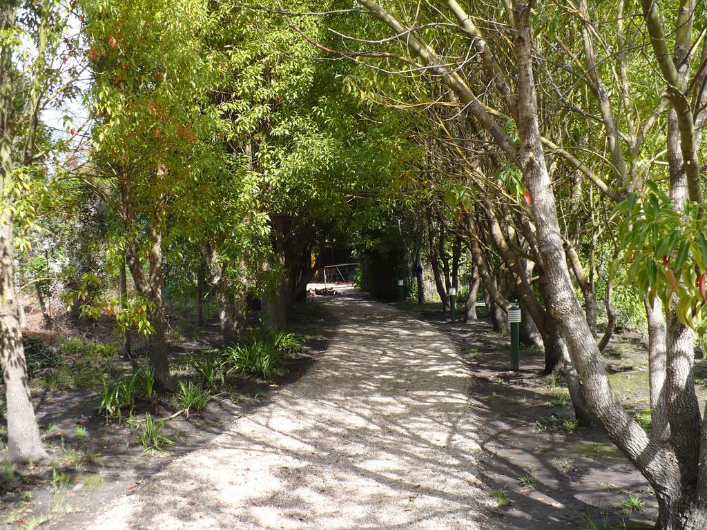 Tsitsikhaya Lodge Stormsrivier Dış mekan fotoğraf