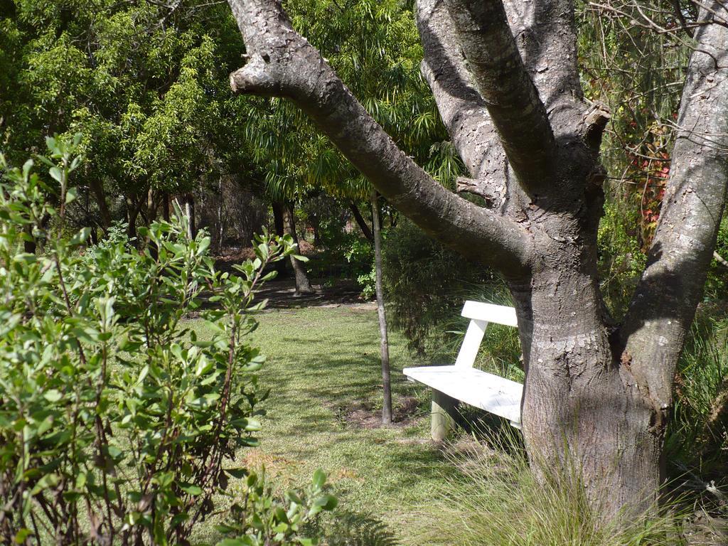 Tsitsikhaya Lodge Stormsrivier Dış mekan fotoğraf