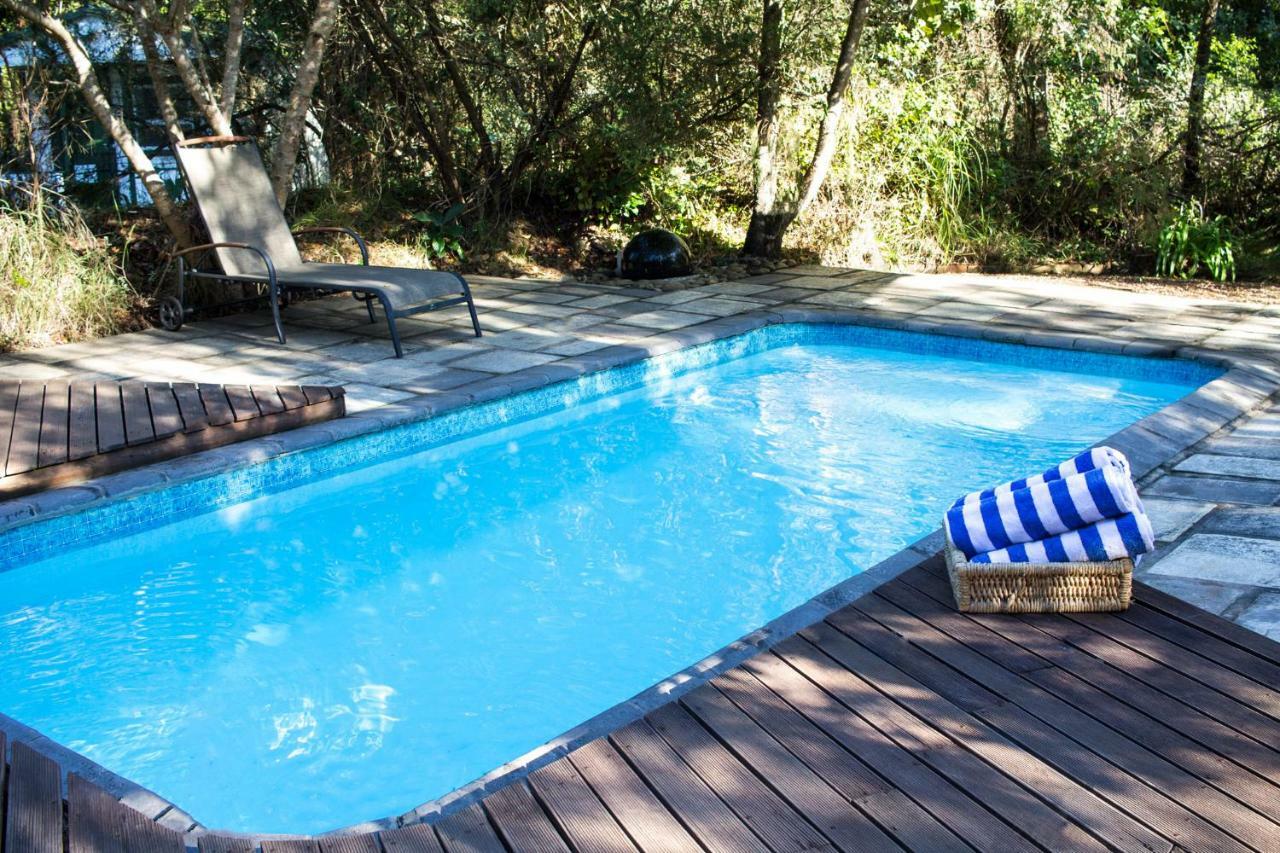 Tsitsikhaya Lodge Stormsrivier Dış mekan fotoğraf