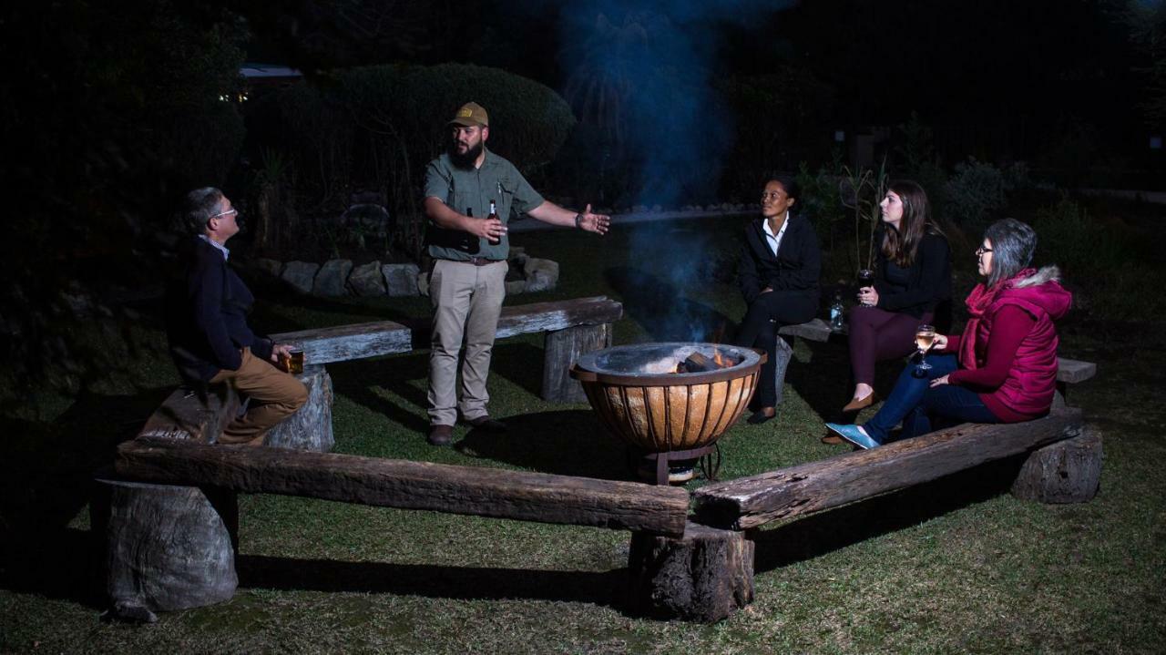 Tsitsikhaya Lodge Stormsrivier Dış mekan fotoğraf