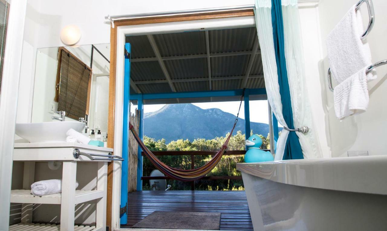 Tsitsikhaya Lodge Stormsrivier Dış mekan fotoğraf